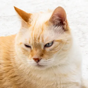 极速11选5服务形象展示